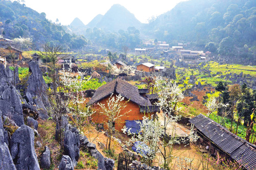 cao nguyên đá đồng văn