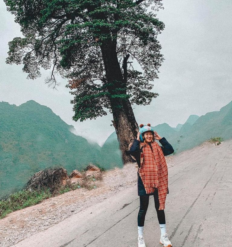 cây cô đơn hà giang