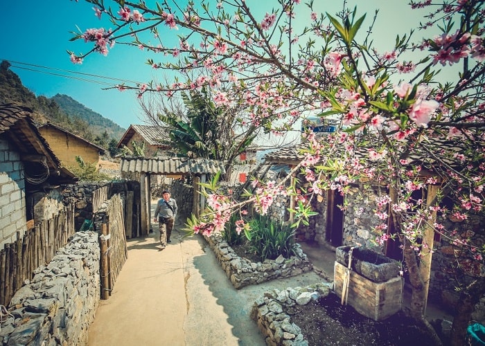 làng lô lô chải